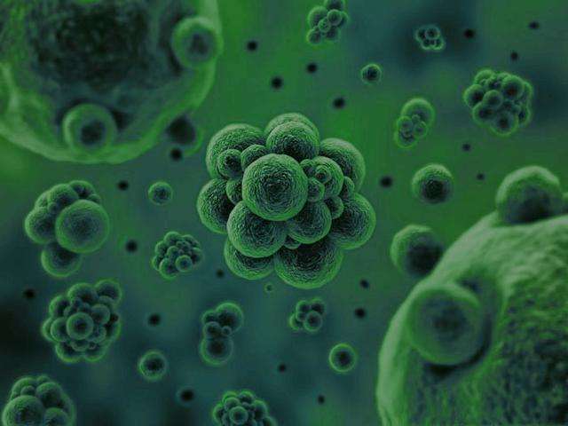 微生物是通過何種方式將廢水中的污染物分解去除掉的？