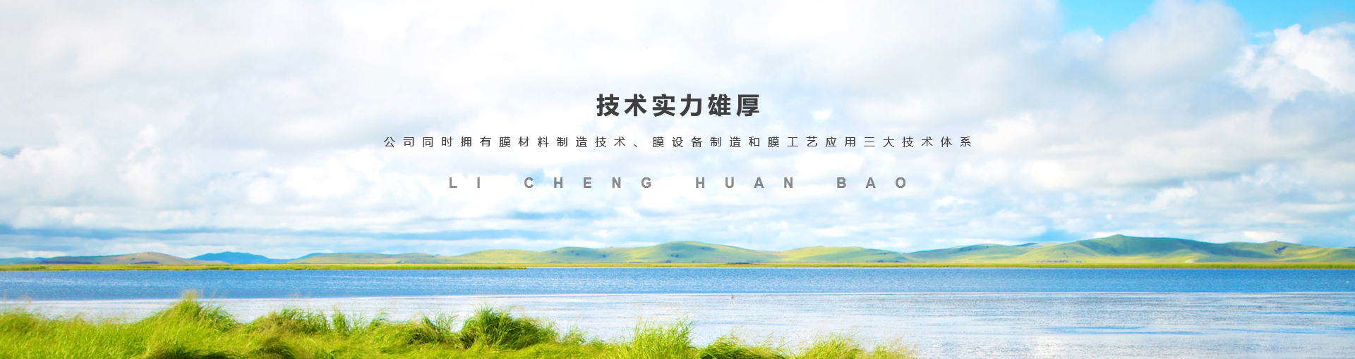 河南力誠(chéng)環(huán)?？萍加邢薰? style=