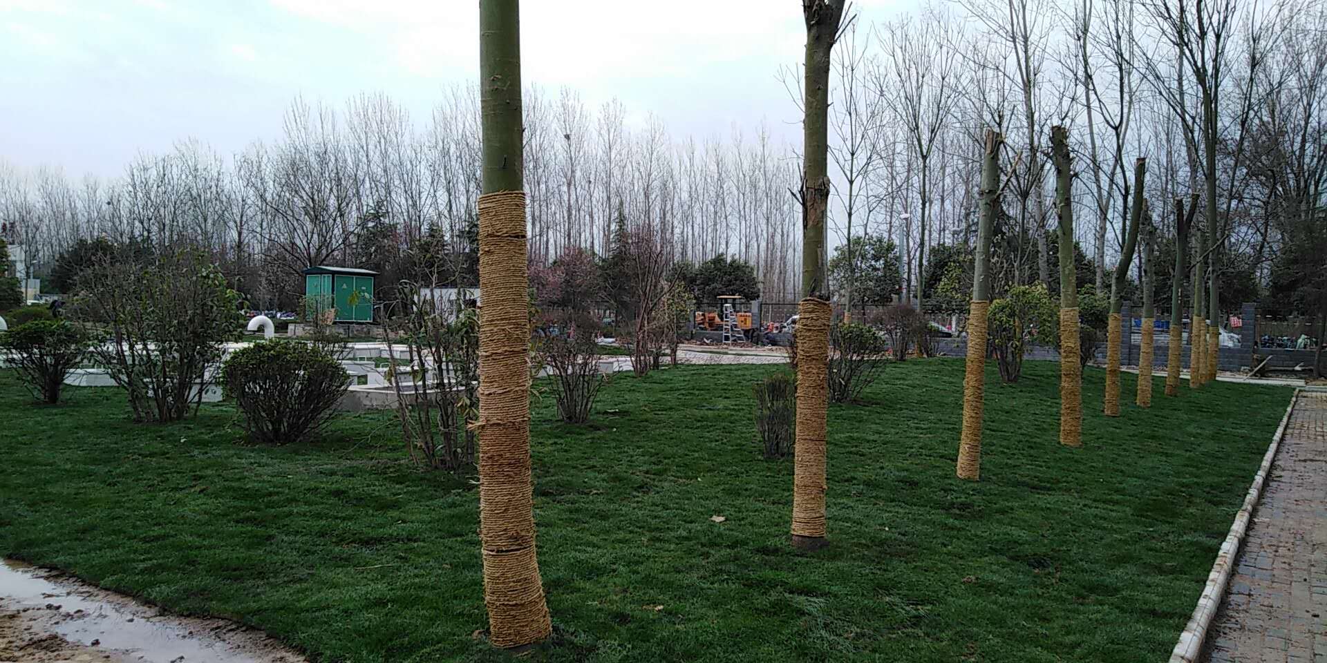 6、平輿縣一高地埋式污水處理2